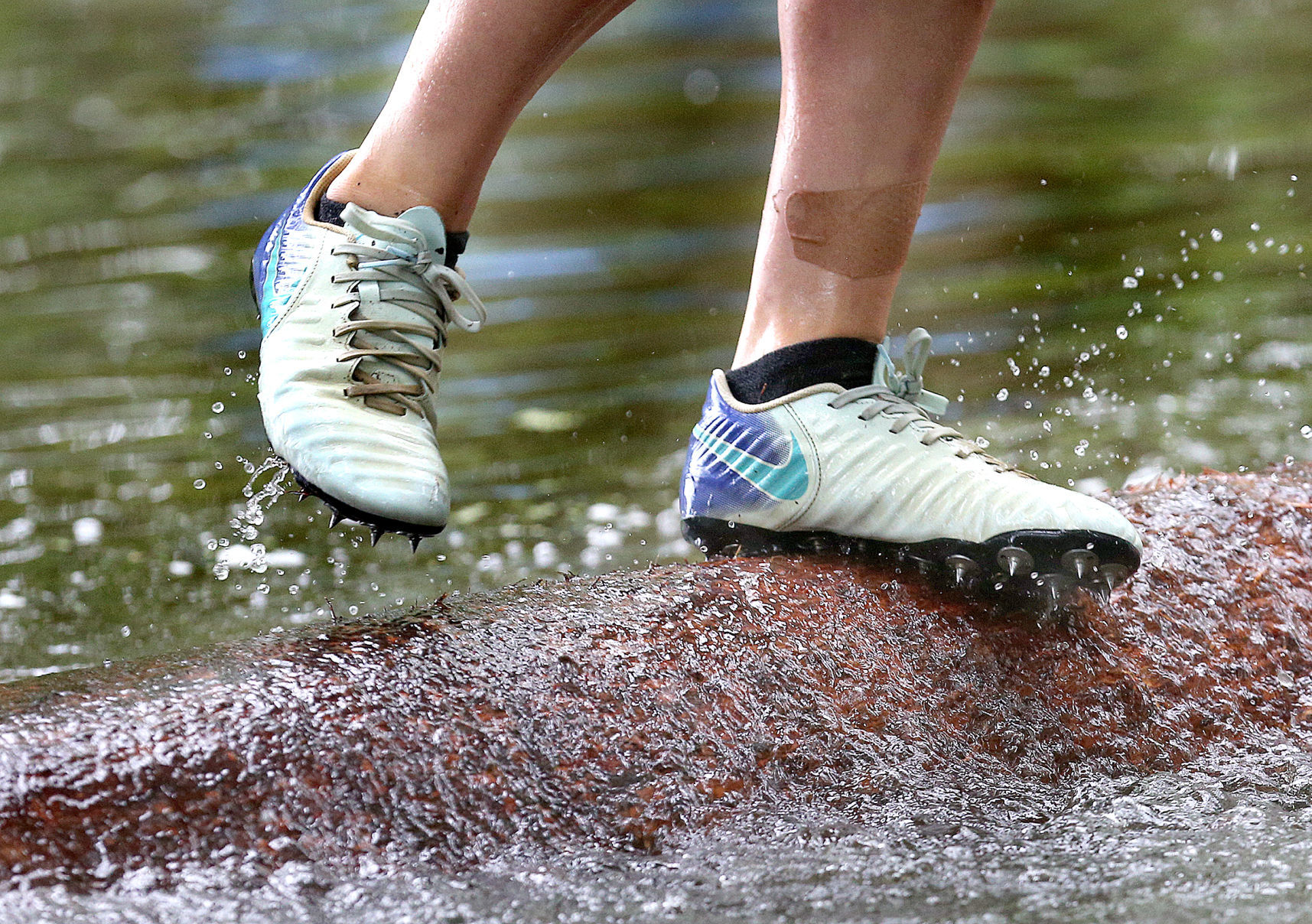 logrolling-secondary-cover-photo